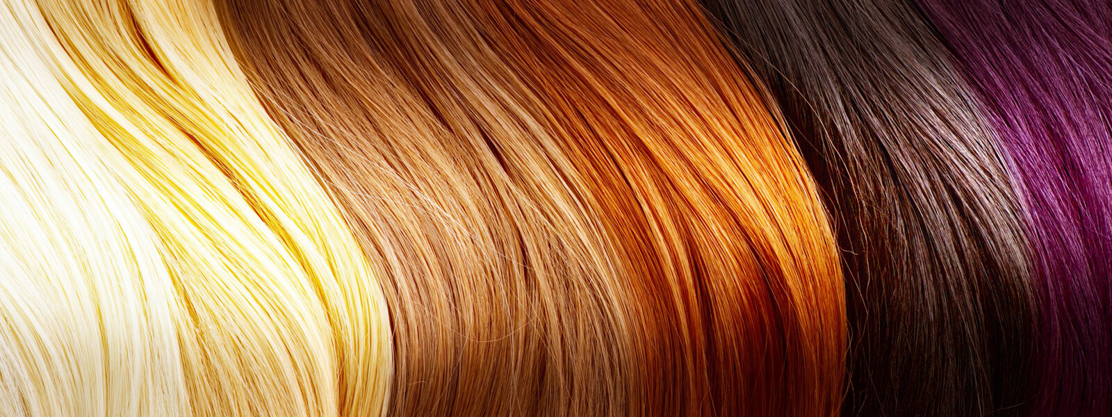 Rainbow of hair colours from blond to purple